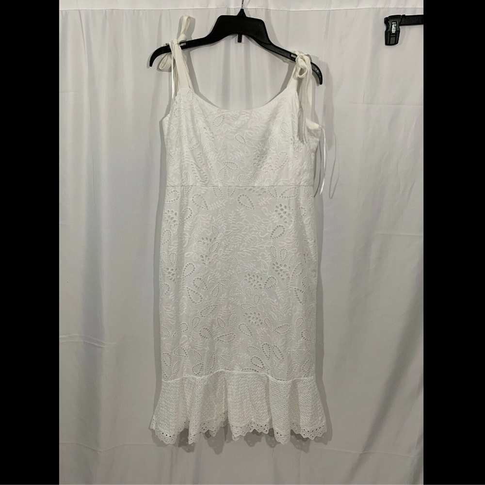 NWT SALONI Rosie Eyelet Broiderie Dress in‎ French White [ 12 US ] - Picture 3 of 8